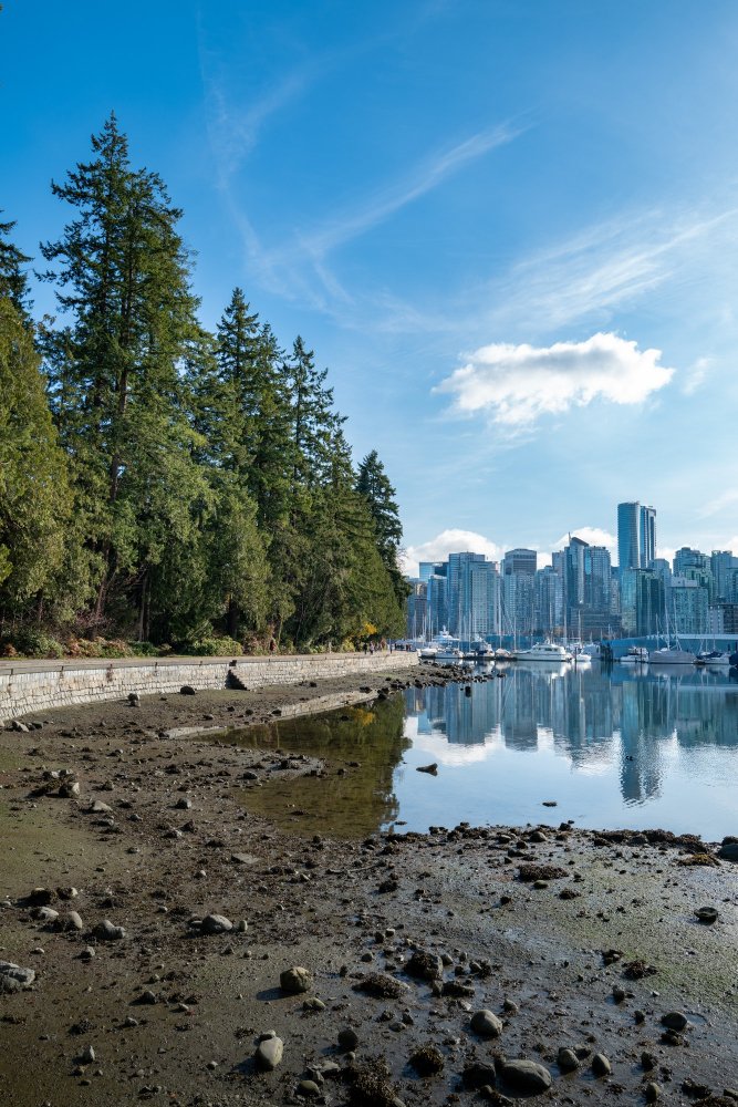 Vancouver & North Shore Scenic Tour